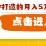 速营社用户专享：基于个人IP打造的月入5万高产项目